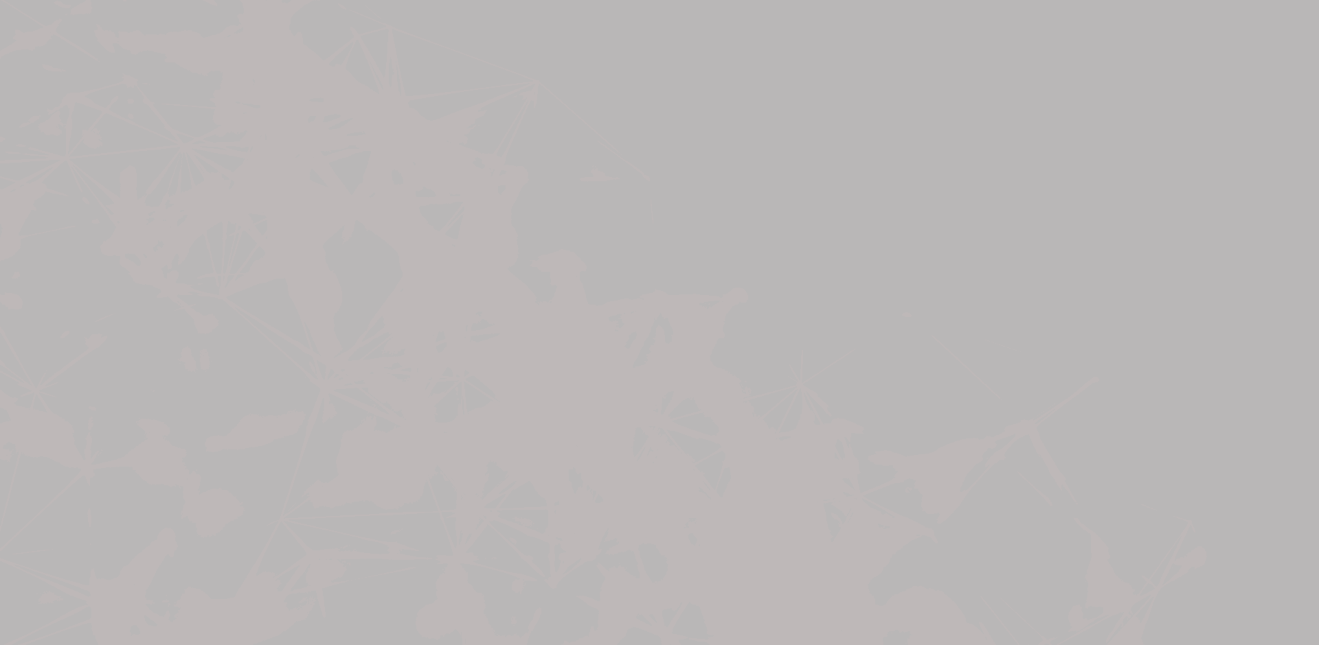 Solutions Hero Background